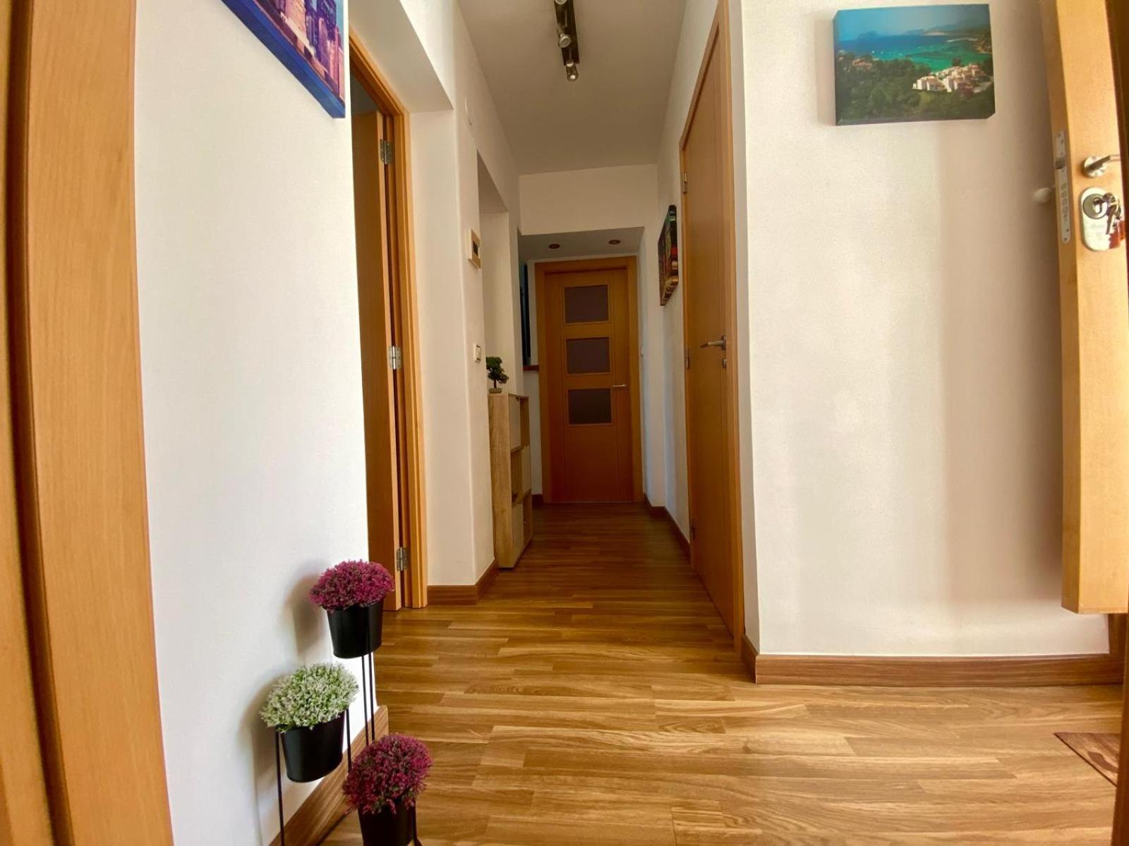 Apartamento Monica Кальпе Экстерьер фото